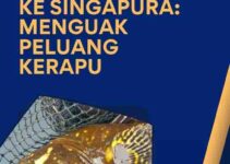 Ekspor Kerapu Beku ke Singapura: Menguak Peluang Kerapu