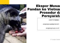 Ekspor Musang Pandan ke Vietnam: Prosedur dan Persyaratan