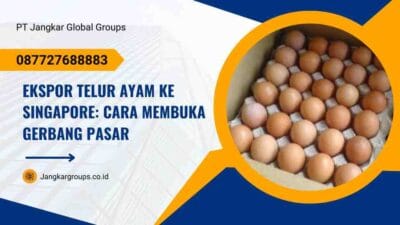 Ekspor Telur Ayam Ke Singapore: Cara Membuka Gerbang Pasar