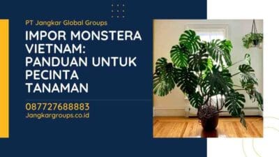 Impor Monstera Vietnam: Panduan Untuk Pecinta Tanaman