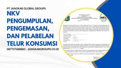 NKV Pengumpulan, Pengemasan, dan Pelabelan Telur Konsumsi