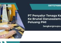 PT Penyalur Tenaga Kerja Ke Brunei Darussalam: Peluang PMI