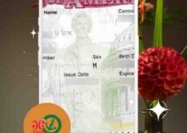 Visa Permanent Amrika Serikat Resident: Kartu Hijau USA
