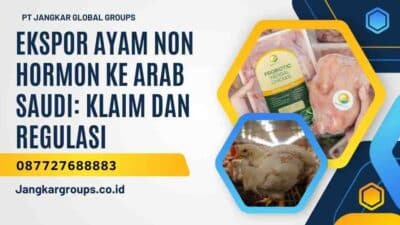 Ekspor Ayam Non Hormon ke Arab Saudi Klaim dan Regulasi
