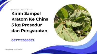 Kirim Sampel Kratom Ke China 5 kg Prosedur dan Persyaratan