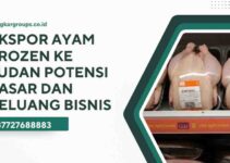 Ekspor Ayam Frozen Ke Sudan Potensi Pasar dan Peluang Bisnis