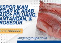 Ekspor Ikan Segar ke Arab Saudi: Peluang, Tantangan, & Prosedur