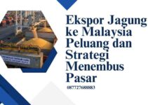 Ekspor Jagung ke Malaysia Peluang dan Strategi Menembus Pasar