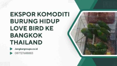 Ekspor Komoditi Burung Hidup Love Bird Ke Bangkok Thailand