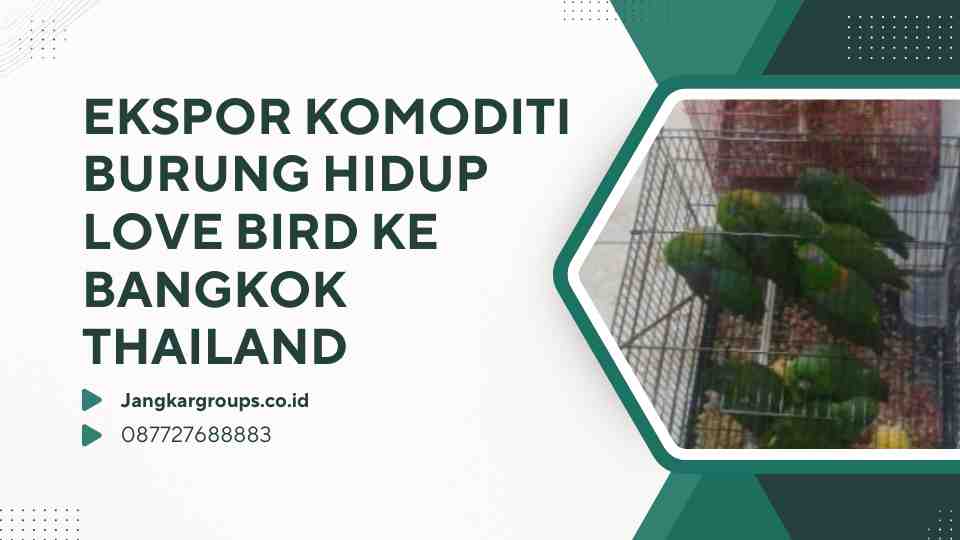 Ekspor Komoditi Burung Hidup Love Bird Ke Bangkok Thailand