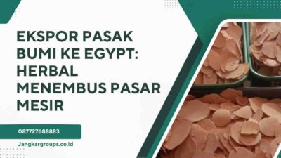 Ekspor Pasak Bumi Ke Egypt Herbal Menembus Pasar Mesir