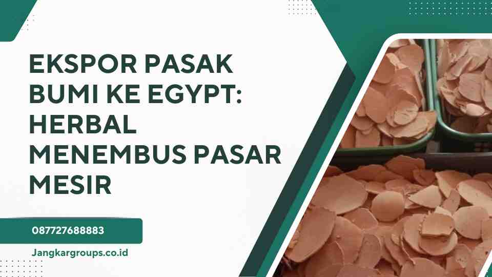 Ekspor Pasak Bumi Ke Egypt Herbal Menembus Pasar Mesir