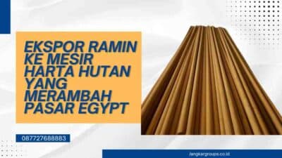 Ekspor Ramin Ke Mesir Harta Hutan yang Merambah Pasar Egypt