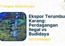 Ekspor Terumbu Karang Perdagangan Ilegal VS Budidaya Coral