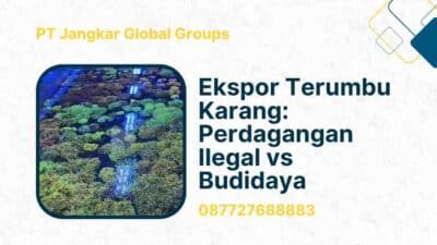 Ekspor Terumbu Karang Perdagangan Ilegal vs Budidaya