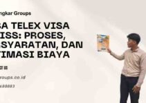 Jasa Telex Visa Swiss Proses, Persyaratan, dan Estimasi Biaya