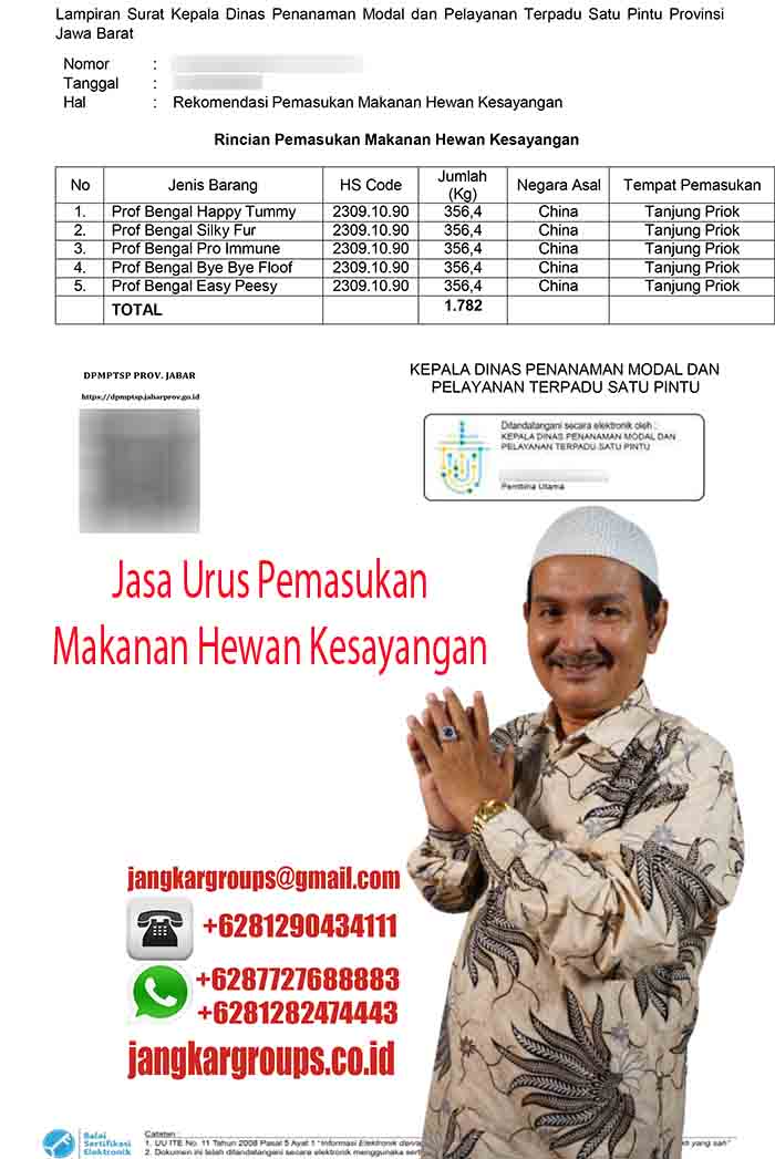 Jasa Urus Pemasukan Makanan Kucing