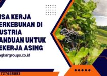 Visa Kerja Perkebunan di Austria Panduan untuk Pekerja Asing