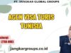 Agen Visa Turis Tunisia