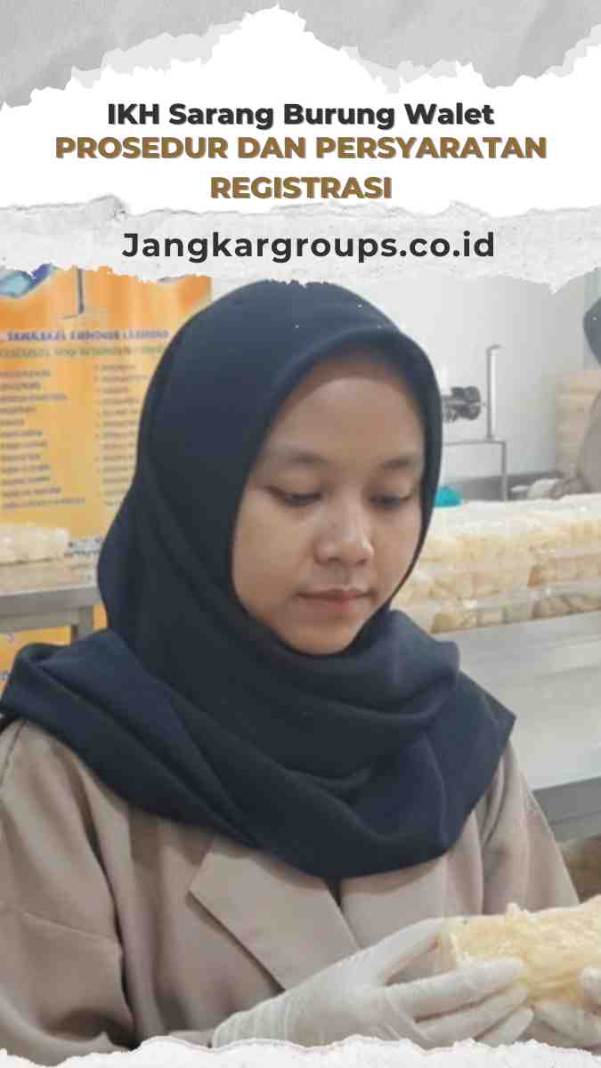 IKH Sarang Burung Walet