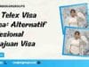 Jasa Telex Visa Guinea: Alternatif Profesional Pengajuan Visa