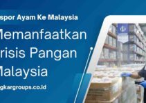 Ekspor Ayam Ke Malaysia Memanfaatkan Krisis Pangan Malaysia