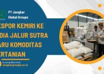 Ekspor Kemiri Ke India Jalur Sutra Baru Komoditas Pertanian