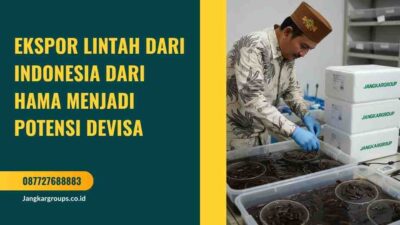 Ekspor Lintah dari Indonesia Dari Hama Menjadi Potensi Devisa