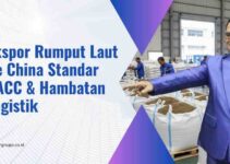Ekspor Rumput Laut Ke China Standar GACC & Hambatan Logistik