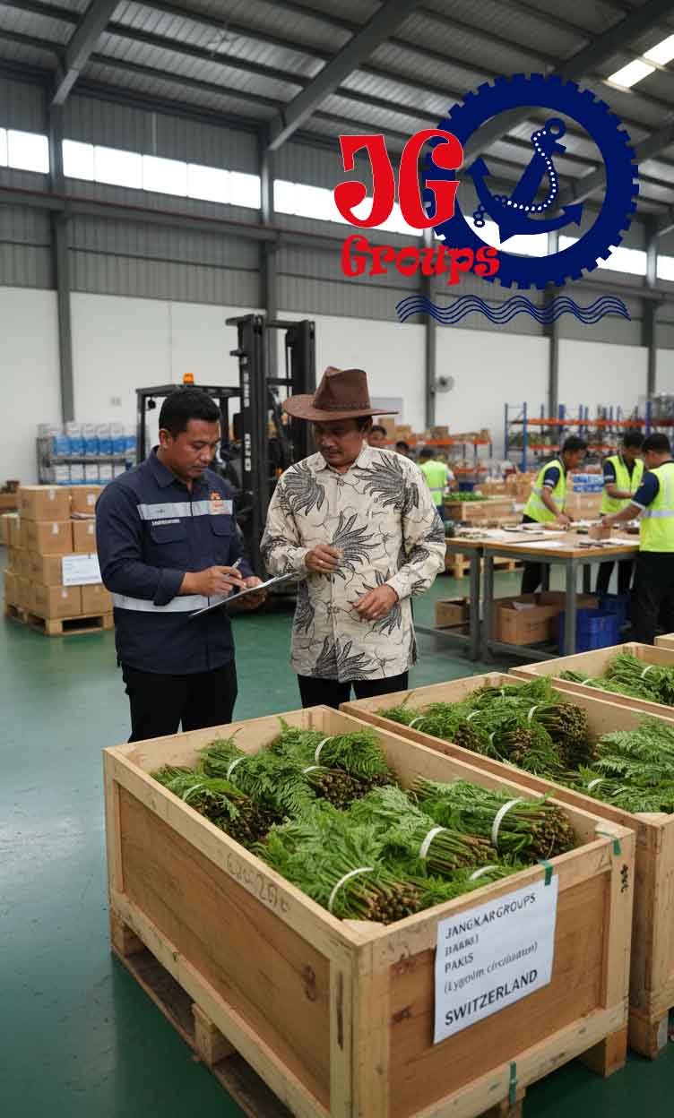 Jasa Ekspor Pakis Simpai Lygodiumcircinatum