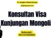 Konsultan Visa Kunjungan Mongolia