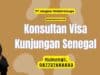 Konsultan Visa Kunjungan Senegal