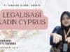 Legalisasi Kadin cyprus