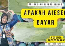 Apakah AIESEC Bayar