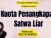 Kuota Penangkapan Satwa Liar