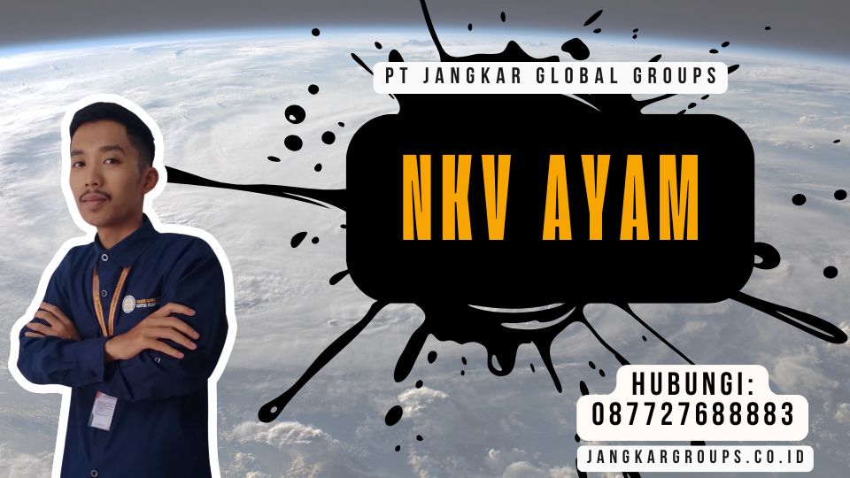 NKV Ayam