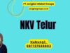 NKV Telur
