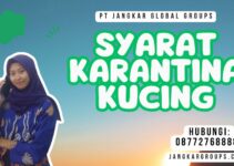 Syarat Karantina Kucing