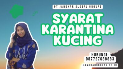 Syarat Karantina Kucing