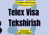Telex Visa Tekshirish