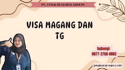 Visa Magang Dan Tg