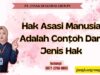 Hak Asasi Manusia Adalah Contoh Dari Jenis Hak