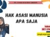 Hak Asasi Manusia Apa Saja