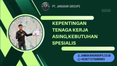 Jumlah Tenaga Kerja Asing Di Malaysia,Statistik,Kebijakan