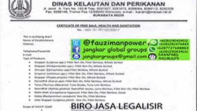 Legalisir Certificate Free Of Health