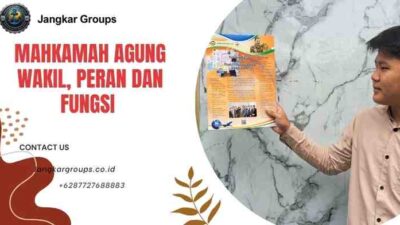 Mahkamah Agung Wakil, Peran dan Fungsi