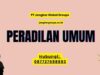 Peradilan Umum