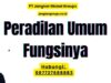 Peradilan Umum Fungsinya