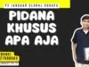 Pidana Khusus Apa Aja