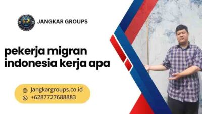 pekerja migran indonesia kerja apa